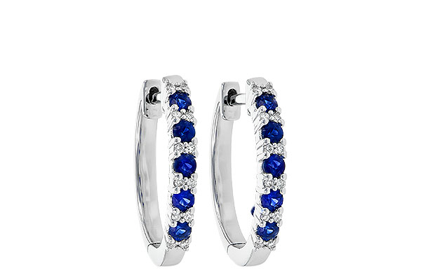 E190-49605: EARR .45 SAPP .55 TGW