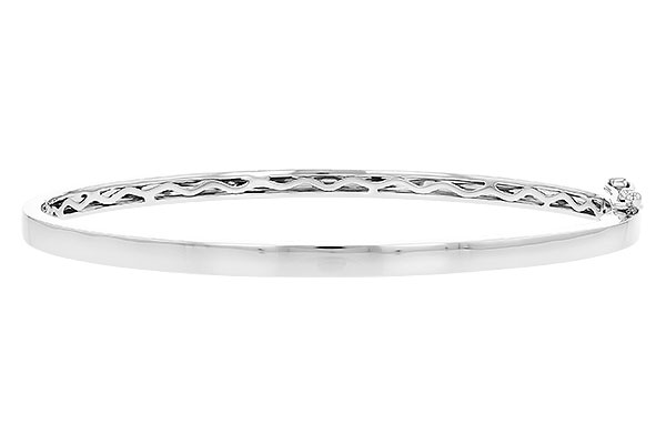 F273-26832: BANGLE (B189-59587 W/ CHANNEL FILLED IN & NO DIA)