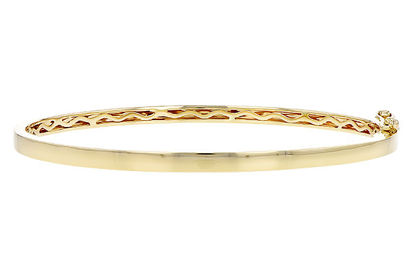 F273-26832: BANGLE (B189-59587 W/ CHANNEL FILLED IN & NO DIA)