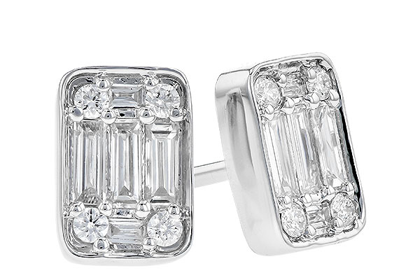G273-19632: EARR .19 BAG .30 TW