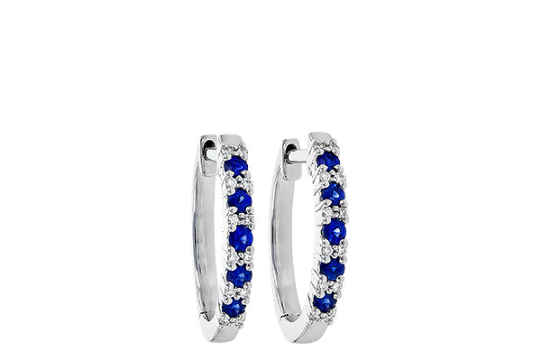 H190-49613: EARR .24 SAPP .30 TGW